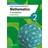Pearson Edexcel GCSE (9-1) Mathematics Foundation Student Book 2 (Paperback, 2020)
