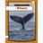 Whales (Indbundet, 2020)