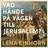 Vad hände på vägen till Jerusalem?: En gåta i historiens utmarker (Ljudbok, MP3, 2020)