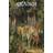 Fairy Tales (Skazki) (Russian Edition) (Paperback, 2014)