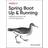Spring Boot: Up and Running: Building Cloud Native Java. (Hæftet, 2021)