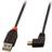 Lindy USB A - USB Mini-B 2.0 (angled) 1m