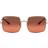 Ray-Ban Evolve RB1971 9151AA