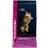 Eukanuba Healthy Start Kitten 2kg