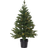 Star Trading Village Christmas Tree 120cm