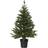 Star Trading Busch Green Julgran 90cm