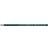 Faber-Castell Polychromos Färgpenna Hooker´s Green (159)