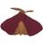 That's Mine Cuddle Cloth Moth