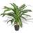 vidaXL Artificial Dracaena Plant with Pot Konstgjord växt
