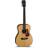 Cort L100C