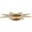House Doctor Star Lysestage 2.8cm