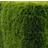 Thuja Emerald 80-100cm Hækplante