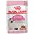 Royal Canin Kitten Gravy 0.1kg