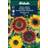 Weibulls Solros Pollenfri Mix Blomsterfrø