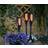 Torch Bedlampe 58cm