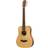 Taylor BT1e