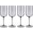 Blomus Fuum Rödvinsglas 40cl 4st