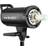 Godox SK300II