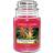 Yankee Candle Tropical Jungle Large Scented Candle 623g