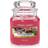 Yankee Candle Frosty Gingerbread Small Doftljus 104g