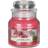 Yankee Candle Roseberry Sorbet Small Doftljus 104g