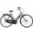 Raleigh Tourist De Luxe 7 Gear 2020