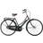 Raleigh Tourist De Luxe 7-Speed 2020 Damcykel