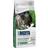Bozita Active & Sterilised Grain Free Lamb 10kg