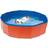 Dog Pool