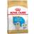 Royal Canin Golden Retriever Puppy 12kg