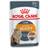 Royal Canin Intense Beauty Jelly