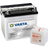 Varta Powersports Freshpack 12N24-4