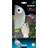 Silverline Shiny Owl