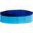 Dog Pool