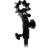 Lastolite Triflash Bracket