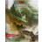Dungeons & Dragons Starter Set (Paperback, 2014)