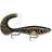 Rapala X-Rap Otus 17cm Artistic Burbot