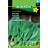 Hornum Wild Garlic