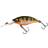 Westin BuzzBite 5cm Bling Perch