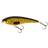 Westin RawBite 15cm Natural Pike