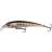 Kinetic Sweeper Natural 5g Perch