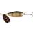 Lotto Pro 3.5cm Dirt Roach
