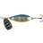 Lotto Pro 3.5cm Blue Roach