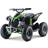 ATV Renegade 1060W