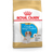 Royal Canin Cavalier King Charles Puppy 1.5kg