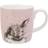 Royal Worcester Wrendale Designs Bathtime Rabbit Mugg 40cl