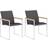 vidaXL 46497 2-pack Garden Dining Chair