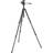 Manfrotto 755CX3 + MH055M8-Q5
