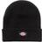 Dickies Gibsland Beanie - Black Unisex