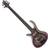 Schecter Riot-5 LH